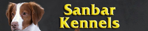 Sanbar Kennels
