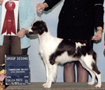Eve Award
