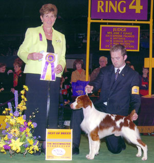 Jonnie 2004