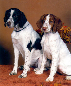 Sanka and Toastie