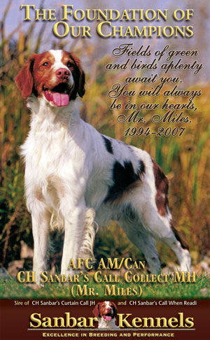 AFC AM/CAN CH Sanbar's Call Collect MH (Miles)